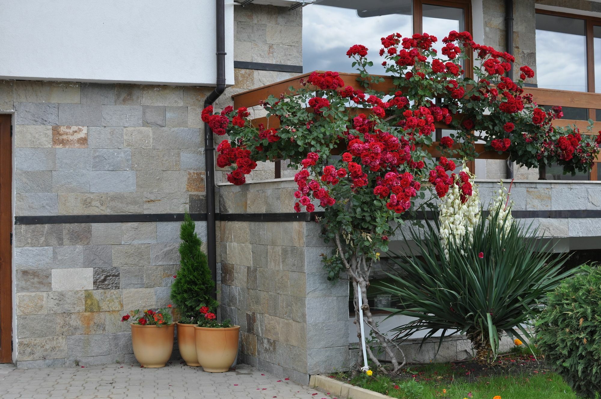 Gardenia Hills Hotel Sunny Beach Eksteriør billede
